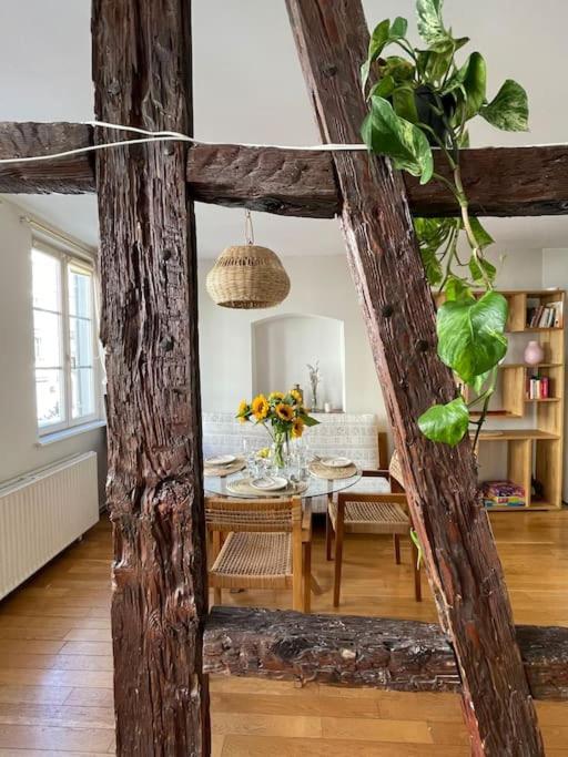 Appartement 2 Chambres Au Coeur De Štrasburk Exteriér fotografie