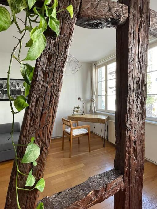 Appartement 2 Chambres Au Coeur De Štrasburk Exteriér fotografie