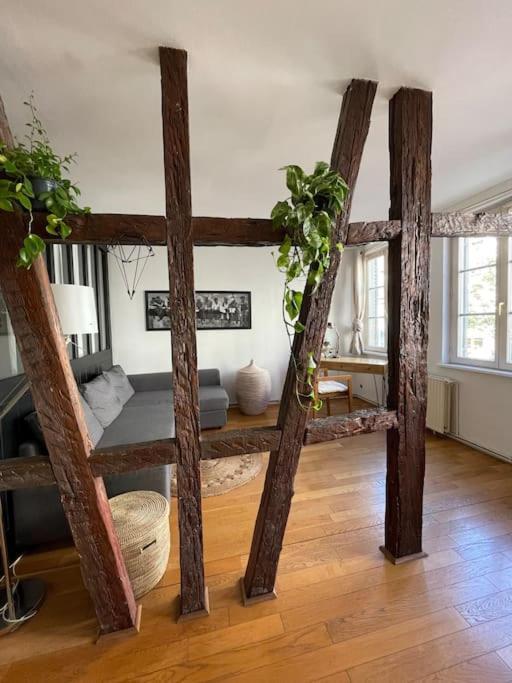 Appartement 2 Chambres Au Coeur De Štrasburk Exteriér fotografie
